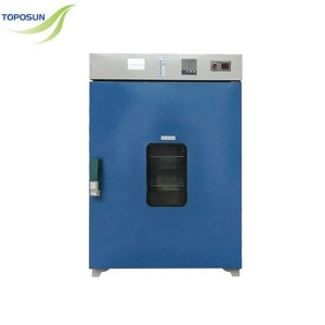 DHG Vertical Blast Drying Oven